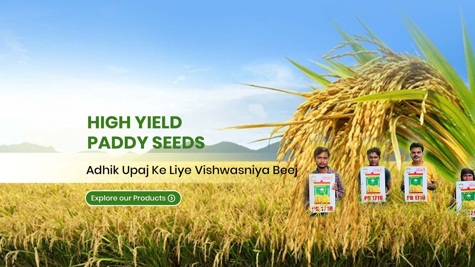 Home slider paddy.jpg